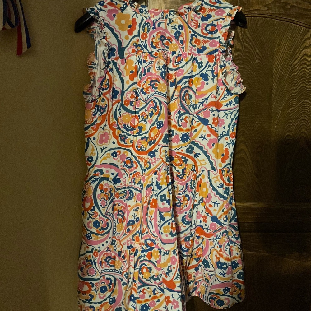 Pinch Multicolor Paisley Mini Dress